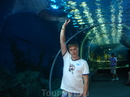 Фотография достопримечательности Океанариум Siam Ocean World