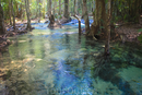 Фотография достопримечательности Термальные источники Krabi Hot Springs