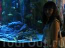 Фотография достопримечательности Океанариум Siam Ocean World